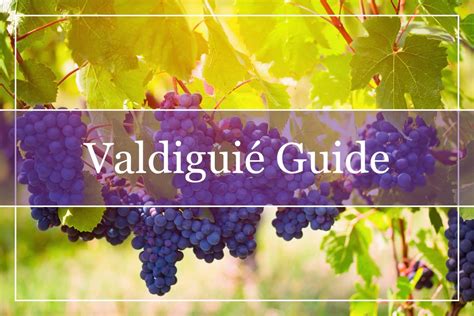 Your Essential Guide To Pinot Blanc Wine Welcome To Winepros