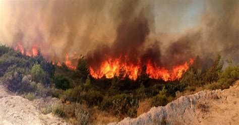 Jun 29, 2021 · ελλαδα · φωτια · φωτια τωρα · φθιωτιδα · πυροσβεστικη · πυρκαγια · πυρκαγια τωρα · ειδησεισ · ειδησεισ τωρα · cnn ειδησεισ ΦΩΤΙΑ ΤΩΡΑ ΣΤΑ ΚΟΡΟΓΟΝΙΑΝΙΚΑ ΜΑΝΗΣ