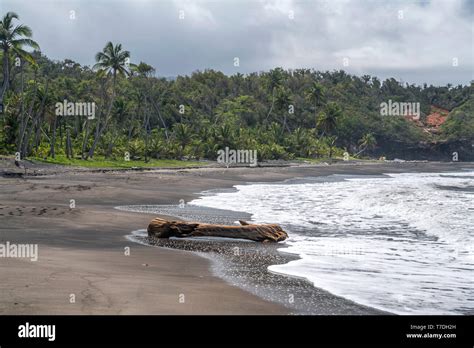 hampstead oder number one beach dominica karibik mittelamerika hampstead or number one