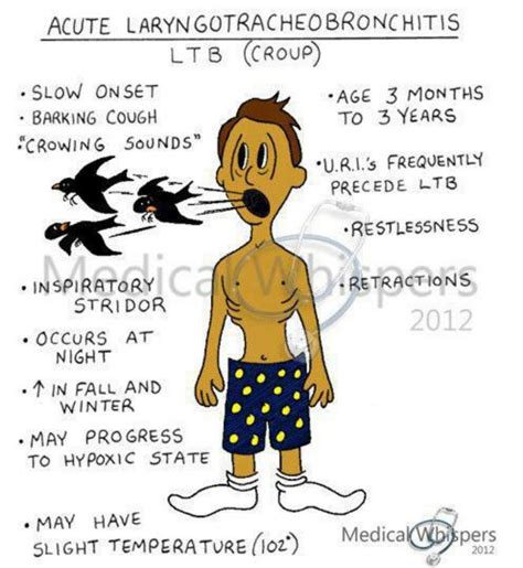 Webmd discusses the causes of coughing in cats. The 25+ best Croup ideas on Pinterest | Cough remedies for ...