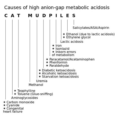 Cat Mudpiles Causes Of High Anion Gap Metabolic Acidosis High Anion