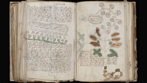 Tout Ce Que Nous Savons Sur Le Mystérieux Manuscrit De Voynich