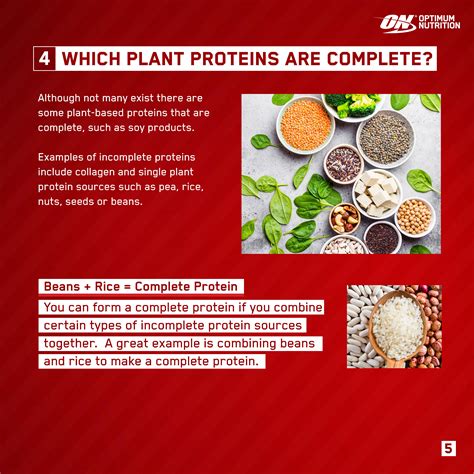 All You Need To Know About Protein Optimum Nutrition Au Site
