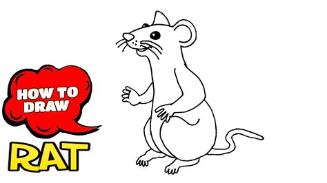 How To Draw A Rat Easy Drawing With Pen YouTube