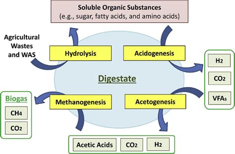 Process Wise Stages Of Biogas Production Including Hydrolysis