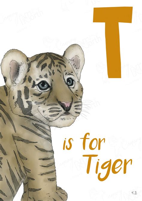 T Is For Tiger Alphabet Nursery Print Hand Drawn Digital Etsy