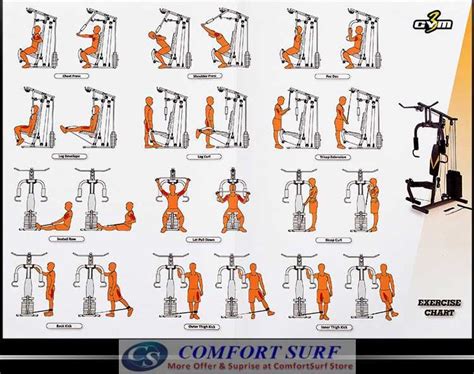Image Result For Back Exercises For The Multi Gym Multi Gym Gym Workouts Machines Home Gym