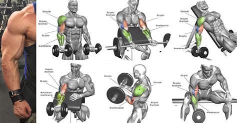The Best Biceps Exercises For Mass