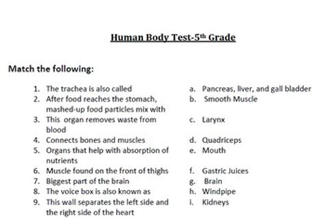 Human body worksheets for grade 2 help kids understand how the body works! Human Body Test 5th Grade by Teachertime28 | Teachers Pay ...