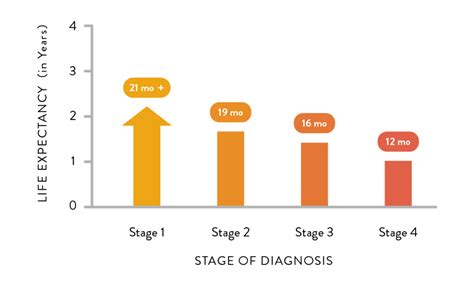 Life Expectancy Of Stage 4 Cancer Patients Cancerwalls