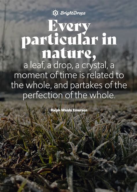 105 Inspirational Nature Quotes On Life And Its Natural Beauty