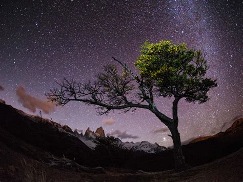 Night Sky Patagonia