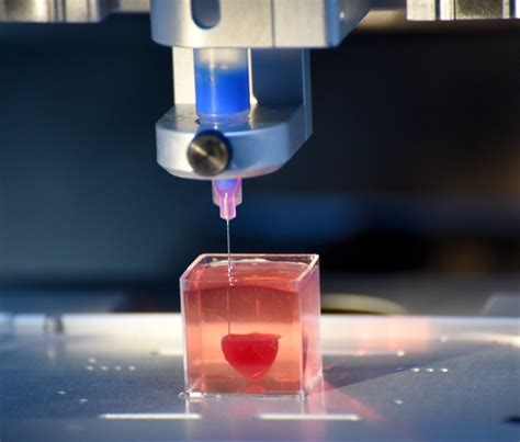 科学家“首次”用人体组织3d打印出人类心脏