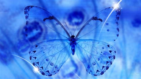 If you're looking for the best butterfly background then wallpapertag is the place to be. Blue Butterfly HD Wallpaper (70+ images)