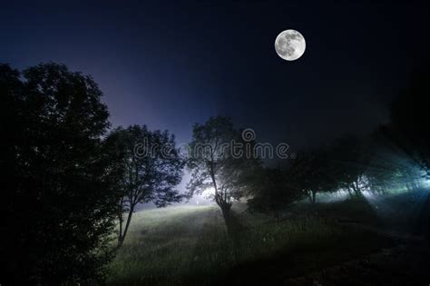 Bello Paesaggio Di Notte Di Grande Luna Piena Che Aumenta Sopra La