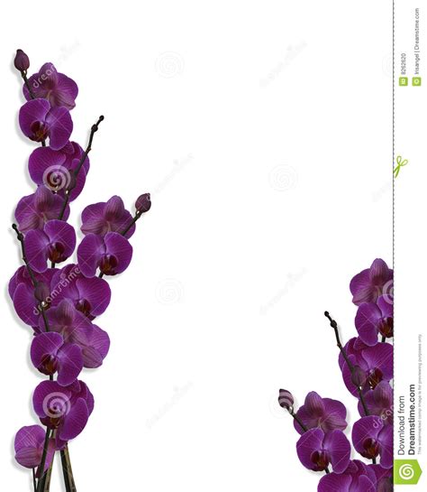 Free Download Purple Flower Wallpaper Border Weddingdressincom