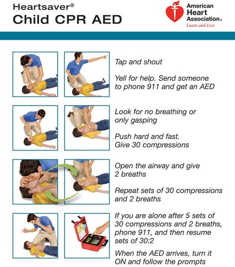 Check spelling or type a new query. Child CPR | Child cpr, Cpr training, Infant cpr