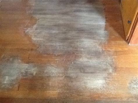 Removing Dog Urine Stains From Hardwood Floors Staining Wood Floors