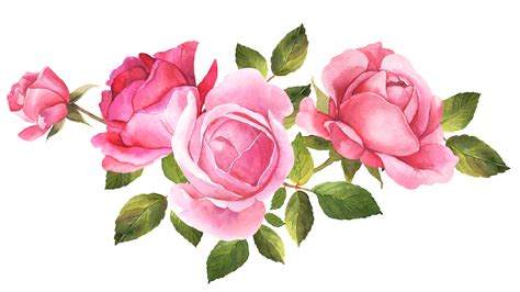 Download Roses Flowers Watercolor Royalty Free Stock Illustration Image