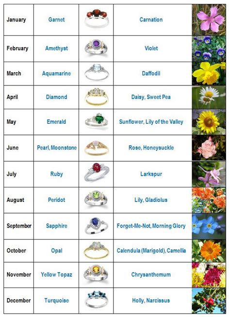 Birthstone Calender And Rose Colors Birth Month Flowers Birth Flower