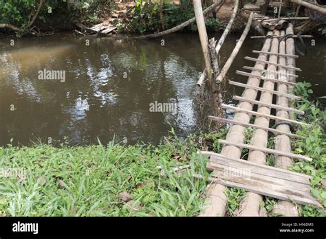Bamboo Footbridge Across Creek Pond Stock Photo Alamy