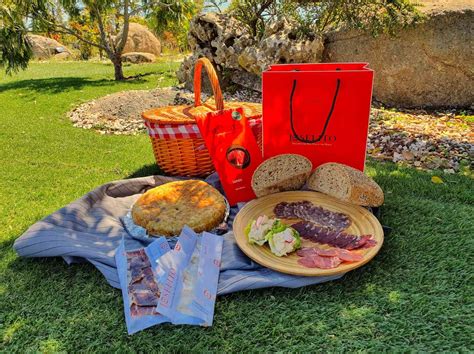 ️】¿qué llevar a un picnic con amigos iltortellino