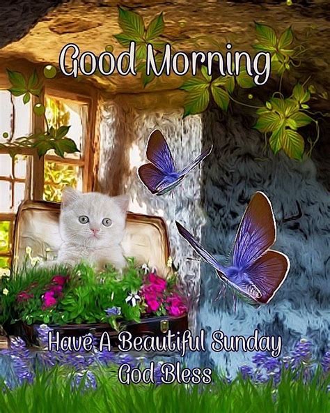 Good Morning Beautiful Sunday Pictures Photos And Images For Facebook