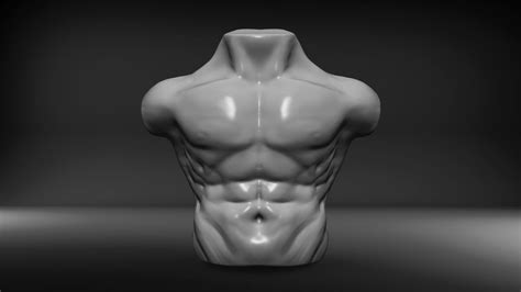 3d Model Human Male Torso Vr Ar Low Poly Cgtrader