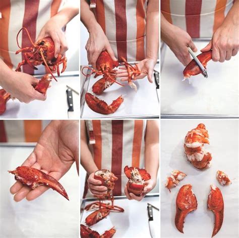 steamed lobster with drawn butter recipe steamed lobster lobster recipes seafood recipes