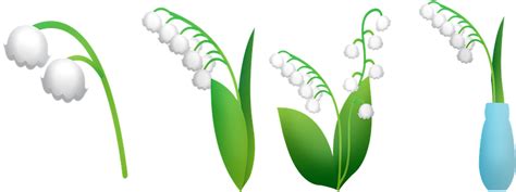 Lily Of The Valley Png Transparent Images Png All