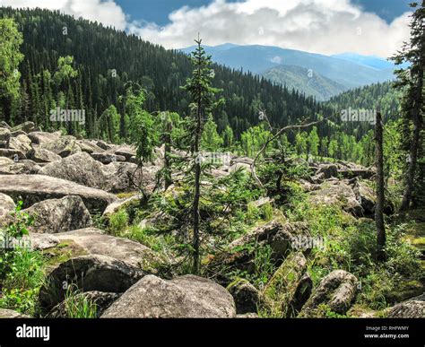 Harsh Beauty Of Rocky Mountain Landscape Of Western Siberia One From