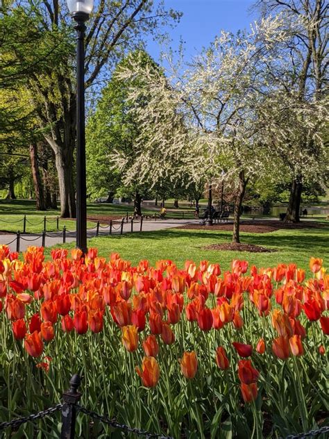 10 Great Ways To Enjoy Spring In Boston Beyond The Miles Travel Blog