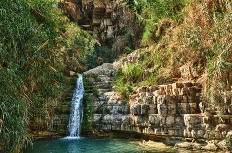 Tourists Guide To Ein Gedi Nature Reserve In Israel Oasis In The