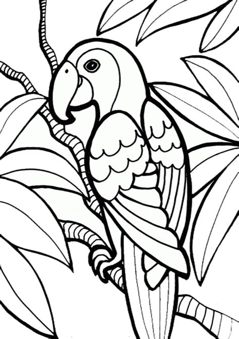 Coloring Pages Parrot Coloring Page For Kids