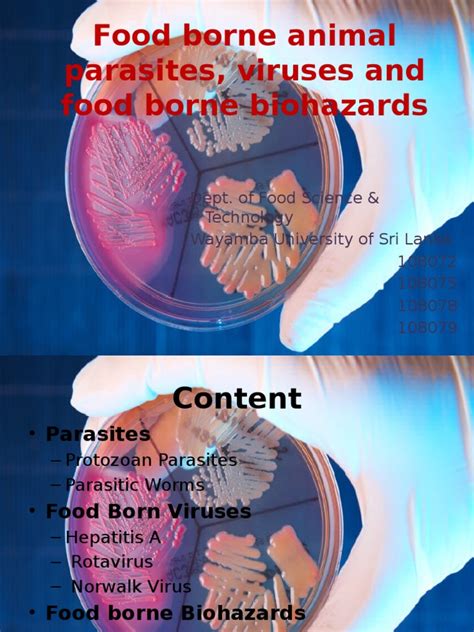 Association of food borne disease with field defecation, flies & hand wash. Food Borne Disease | Toxin | Infection