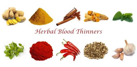 Foods to avoid on blood thinners the most commonly used blood thinner warfarin (coumadin, jantoven) works by blocking vitamin k from being used to make clotting factors. Blood Thinning Supplements & Foods to Avoid Before Surgery ...