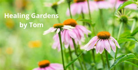 Healing Gardens Groshs Lawn Service