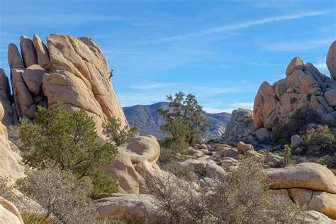 10 Best Hikes In Joshua Tree National Park — Cleverhiker Backpacking