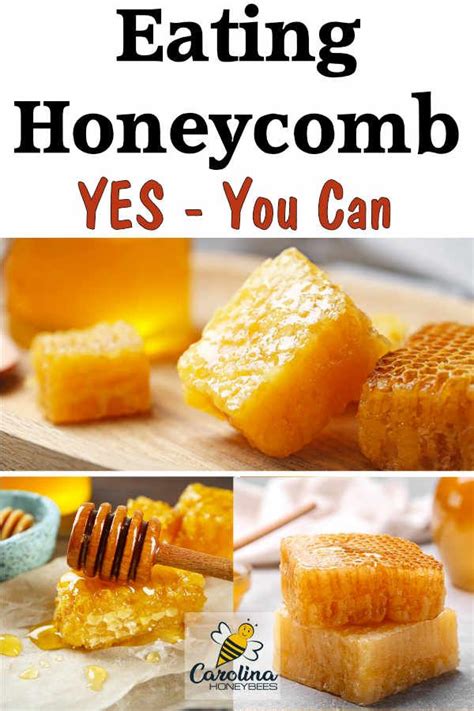 Is Honeycomb Edible Who Can Consume Beeswax Carolina Honeybees