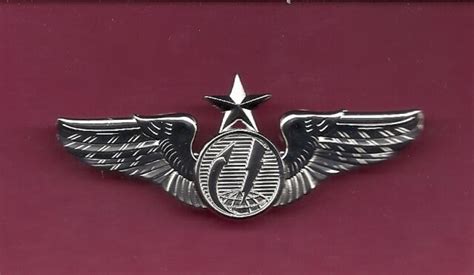 Full Size Three Inch Us Remote Senior Pilot Aircraft Drone Wings Badge