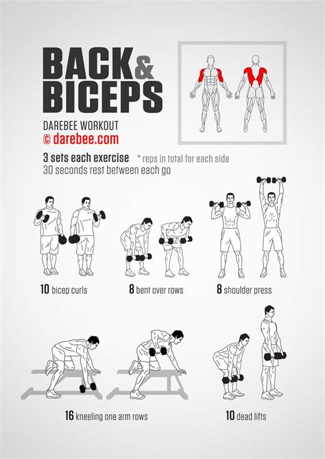 Some Upper Body And Arms Workouts Back And Bicep Workout Biceps