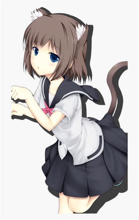 Free Download Neko Girl Wallpaper Pack Anime Cat Girl Png Transparent