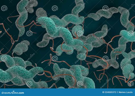 Field Of Campylobacter Jejuni Bacterias Top View D Render Illustration