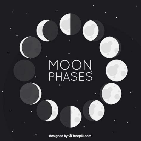 Flat Moon Phases Vector Free Download