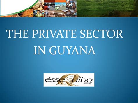 The Private Sector In Guyana Ppt Download