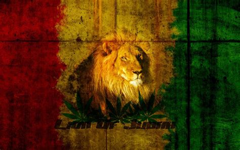 Lion Of Judah Hd Wallpapers Wallpaper Cave