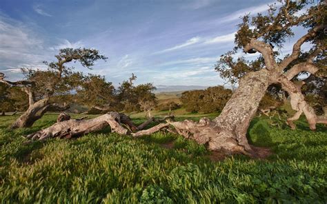 Fort Ord National Monument Blm California By Bob Wick National