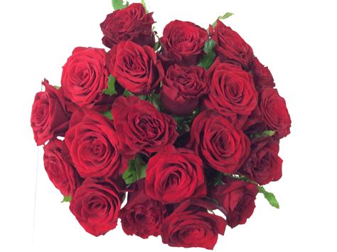 Special Request Flower Bouquet Flower Wholesalers Auckland