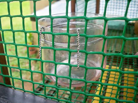 Apalagi dalam beternak ayam potong, bobot tubuh ayam menjadi hal yang paling penting dalam penentu kesuksesan penjualannya. Serama Malaya: Tips untuk membuat bekas makanan ayam (How ...