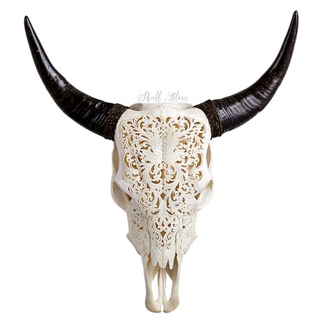 Texas Longhorn Animal Skulls English Longhorn Animal Skull Png